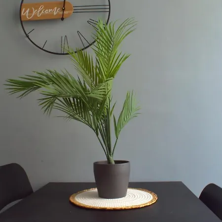 アパート Casa Angelina *